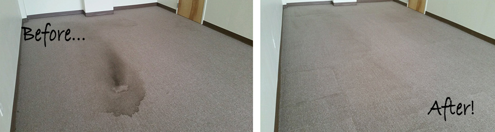 BeforeAfter_Carpet Steam Cleaning - Metro Steamway